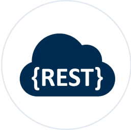 REST APIs